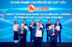 CASUMINA tăng tốc chuyển đổi số trong quản trị và sản xuất