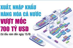 Infographics: Tổng kim ngạch xuất, nhập khẩu hàng hóa cả nước đến ngày 15/8 đạt 712,72 tỷ USD