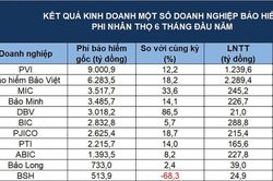 Phí bảo hiểm gốc tăng tốc mùa bán niên, lợi nhuận phân hóa mạnh