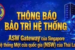 Hải quan lưu &yacute; doanh nghiệp về lịch bảo tr&igrave; hệ thống một cửa của Singapore v&agrave; Th&aacute;i Lan