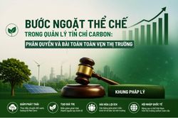 Bước ngoặt thể chế trong quản lý tín chỉ carbon: Phân quyền và bài toán toàn vẹn thị trường