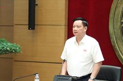 Các dự án lấn biển cần đánh giá đầy đủ tác động về môi trường