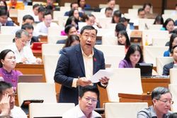 Phân định rõ thời hạn sử dụng chung cư và quyền tài sản
