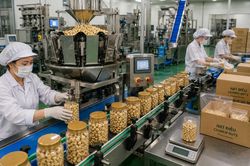 Doanh nghiệp Việt trước 'hàng rào' tiêu chuẩn mới của EU