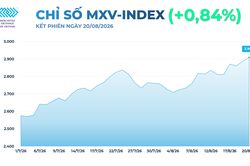 Thị trường hàng hóa: MXV-Index vượt 2.900 điểm, lên mức cao nhất từ cuối tháng 5
