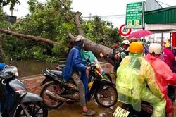 Nam thanh niên bị cây đè tử vong trong cơn dông lốc
