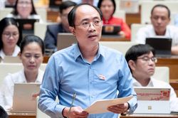 Hoàn thiện cơ chế đặc thù xử lý vi phạm kinh tế