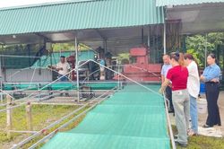 Kiểm tra tiến độ thực hiện nhiệm vụ nghiên cứu một số sản phẩm giảm sinh đường chứa tinh bột dong riềng
