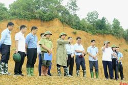 Chủ tịch UBND tỉnh Lê Hải Hòa kiểm tra Dự án Nhà máy sản xuất phôi tre tại xã Bạch Đằng