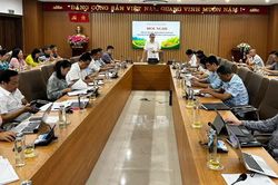 Sản lượng thuốc lá toàn tỉnh tăng hơn 5.000 tấn