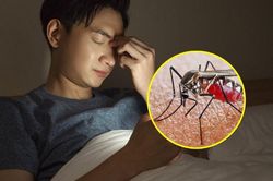 Tại sao tắt điện thì nghe muỗi kêu vo ve, bật điện lên lại không thấy con nào?
