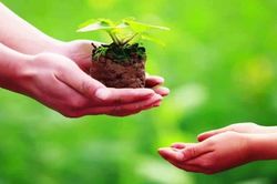 Tháng 7 âm lịch: Làm gì để sống an yên, tích phúc thay vì lo sợ?