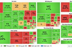 Chứng khoán 20/8: VN-Index tăng 7,55 điểm, thanh khoản thấp nhất từ đầu năm