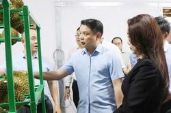 Tăng cường công tác truy xuất nguồn gốc sầu riêng xuất khẩu sang thị trường Trung Quốc