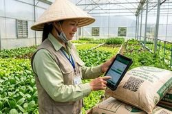 Quản lý chặt vật tư nông nghiệp đầu vào để nâng cao chất lượng nông sản