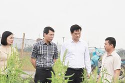 Hà Nội xây dựng nông thôn mới giai đoạn 2026-2030: Chủ động rà soát, rõ người, rõ việc