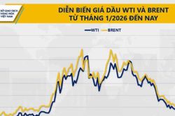 Chỉ số MXV-Index lên mức đỉnh kể từ cuối tháng 5, vượt 2.900 điểm