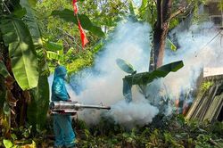 Hà Nội chủ động phòng, chống sốt xuất huyết mùa cao điểm