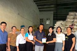 Khơi thông nguồn lực cho hộ kinh doanh: Chính sách cần đồng bộ, tương xứng và khả thi