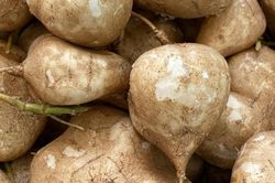 Loại củ mọng nước, giòn mát không chỉ ăn vặt mà dễ chế biến nhiều món ngon giúp người tiểu đường kiểm soát đường huyết