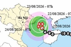 Áp thấp nhiệt đới giật cấp 9 sắp mạnh lên thành bão, khu vực nào của Việt Nam sẽ bị ảnh hưởng?