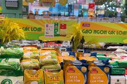 Một mặt h&agrave;ng người Việt ai cũng d&ugrave;ng mỗi ng&agrave;y ch&iacute;nh thức c&oacute; mặt trong hệ thống b&aacute;n bu&ocirc;n lớn của Đức