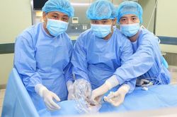 Ung thư có tỷ lệ mắc, tử vong cao, cần ưu tiên sàng lọc và phòng ngừa