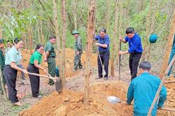Gia Lai: Mặt trận, đo&agrave;n thể tiếp sức h&agrave;nh tr&igrave;nh t&igrave;m kiếm liệt sĩ