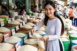 Giá lúa gạo hôm nay 22.8.2026: IR 50404 tăng 200 đồng/kg