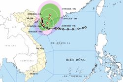 Hải Ph&ograve;ng, Quảng Ninh tạm dừng hoạt động t&agrave;u thuyền tr&ecirc;n biển để ứng ph&oacute; b&atilde;o số 4