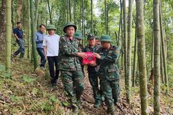 Lào Cai cất bốc hài cốt liệt sĩ chưa rõ danh tính tại Mường Hum