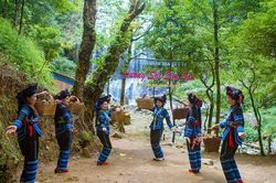 Kh&aacute;m ph&aacute; 'Hương sắc Sim San' giữa m&ugrave;a thu Y T&yacute;