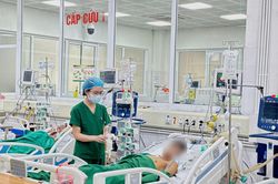 Hỏng gan, phù não vì tin bài thuốc trôi nổi trên mạng