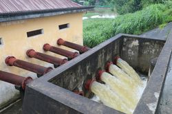 Bắc Ninh, Thái Nguyên, Thanh Hóa đảm bảo an toàn đê điều ứng phó lũ