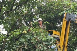 Hà Nội triển khai công tác ứng phó với bão số 4