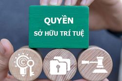 Tăng cường chế tài xử lý các hành vi xâm phạm quyền, vi phạm pháp luật về sở hữu trí tuệ