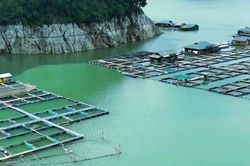 Ứng dụng khoa học cho chuỗi giá trị nông nghiệp xanh