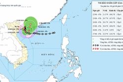 Bão số 4 di chuyển chậm trên vùng biển Quảng Ninh-Hải Phòng; cảnh báo mưa lớn cục bộ có nơi trên 600mm