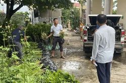 72 tổ chức, hộ gia đình xã Cẩm Lý được nhận cây giống trồng rừng phân tán
