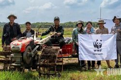 Cựu chiến binh gắn bó với Vườn quốc gia Tràm Chim