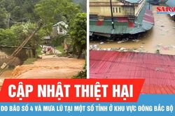 Mưa lũ do bão số 4 gây hư hỏng, ngập 300 căn nhà và hơn 1.000ha cây trồng