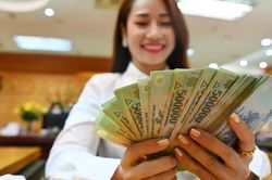 [SPOTLIGHT] Hé lộ thu nhập CEO ngành chứng khoán: HSC dẫn đầu 4,8 tỷ đồng