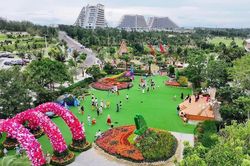 'Ngàn hoa về phố biển' thêm sắc màu cho du lịch Gia Lai
