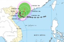 Dự báo tác động của bão số 4: Quảng Ninh, Hải Phòng mưa lớn, phổ biến 250-350mm, cục bộ có nơi trên 600mm