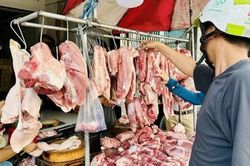 Giá heo hơi hôm nay 22/8: Xu hướng ấm dần lên, vùng giá dao động từ 56.000 - 58.000 đồng/kg