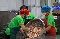Hà Nội ban hành Quy chế quản lý Hệ thống dữ liệu dinh dưỡng, an toàn thực phẩm học đường
