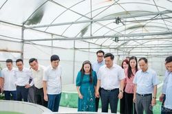 Chủ tịch UBND tỉnh Trần Duy Đông: Gỡ 'nút thắt' khó khăn, đưa nông nghiệp Phú Thọ vươn tầm sinh thái