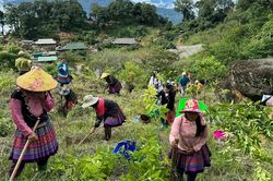 Việt Nam tham gia UNCCD COP17: Từ cam kết quốc tế đến nguồn t&agrave;i ch&iacute;nh xanh gi&uacute;p phục hồi rừng