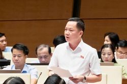 Quy định r&otilde; về h&agrave;nh vi thao t&uacute;ng thị trường bất động sản