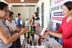 Truyền cảm hứng để phụ nữ Đà Nẵng khởi nghiệp số